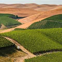 Discovering the Hidden Gems of Clark County, Washington Wineries