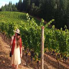 Exploring Non-Alcoholic Options at Wineries in Clark County, Washington