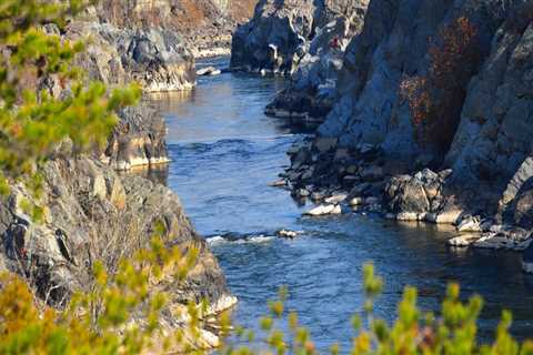 Exploring the Specialty Markets in Montgomery County, Maryland