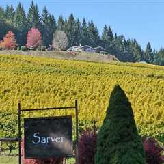 Exploring the Unique Wineries in Lane County, Oregon