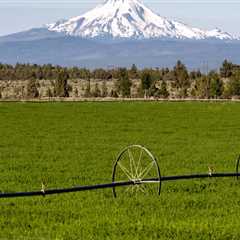 The Vital Role of Labor Commissioners in Protecting Employee Rights and Benefits in Deschutes..