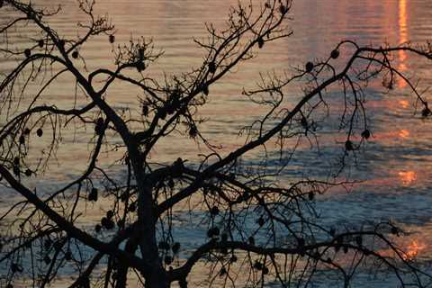 The Importance of Protecting Water Resources in Northern Virginia