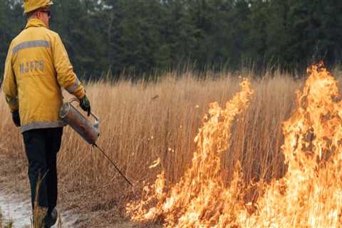 The Importance of Fire Inspections in Morris County, New Jersey