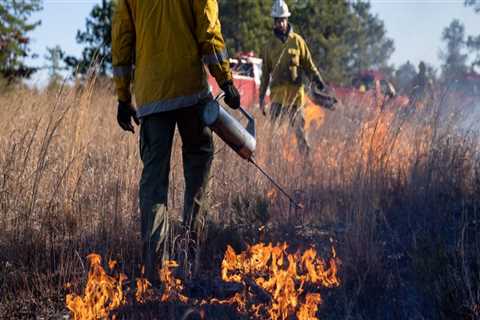 The Ultimate Guide to Volunteering with Fire Services in Morris County, New Jersey