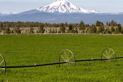 The Vital Role of Labor Commissioners in Protecting Employee Rights and Benefits in Deschutes..