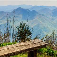 The Ultimate Guide to Outdoor Retailers in Lowcountry South Carolina