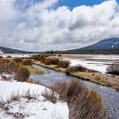 Exploring the Environmental Landscape of Lane County, Oregon