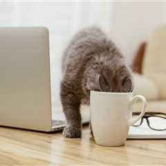 Monday Morning Accounting News Brief: Chicago Hires EY to Find Money in the Couch Cushions; PwC..