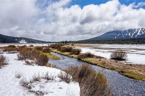 Exploring the Environmental Landscape of Lane County, Oregon