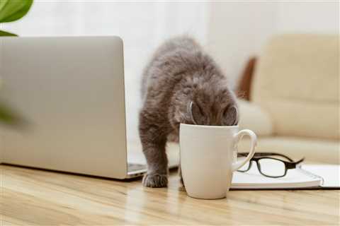 Monday Morning Accounting News Brief: Chicago Hires EY to Find Money in the Couch Cushions; PwC..