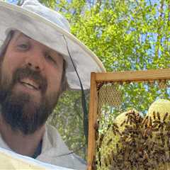 The Life and Work of a Beekeeper in McDowell County, North Carolina