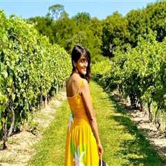 The Ultimate Guide to Visiting Wineries in Chautauqua County, New York