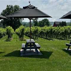 Exploring the Best Wineries in Chautauqua County, New York: A Guide to On-Site Accommodations