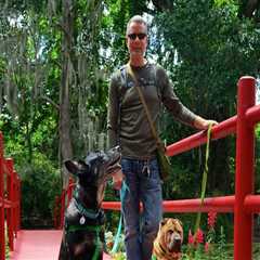 Discovering Pet-Friendly Public Markets in Duval County, Florida