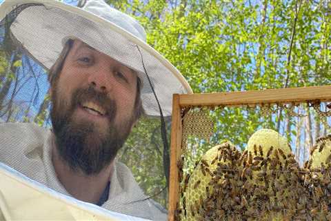 The Life and Work of a Beekeeper in McDowell County, North Carolina