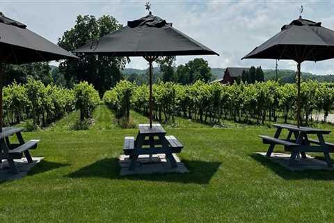 Exploring the Best Wineries in Chautauqua County, New York: A Guide to On-Site Accommodations