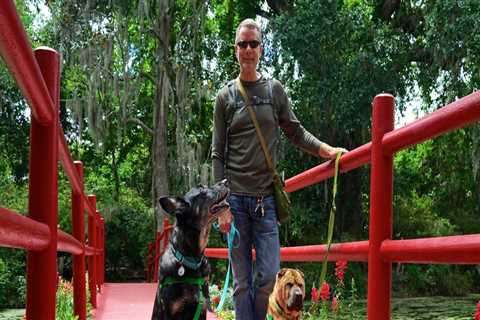 Discovering Pet-Friendly Public Markets in Duval County, Florida
