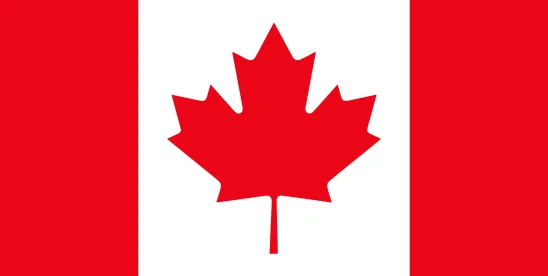 Balancing Harassment-Free Workplaces and Union Rights: Key Lessons for Employers in Canada