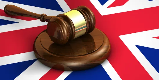 The Data (Use and Access) Act 2025: A New Chapter in the UK’s Data Protection Framework