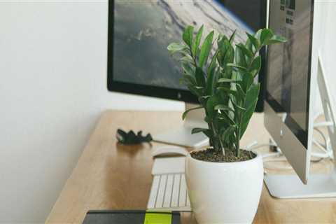How Virtual Assistants Can Track, Organize, And Manage Custom Label Orders