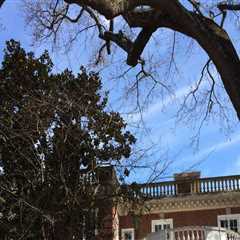 The Ultimate Guide to Sports in Chevy Chase, Maryland