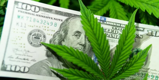 Getting in the Weeds on Managing Cannabis Operations Risks Through Insurance