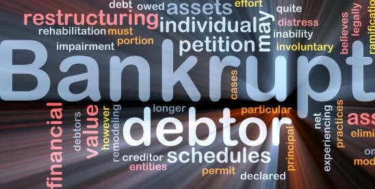 Weekly Bankruptcy Alert August 4, 2025 (For the Week Ending August 3, 2025)