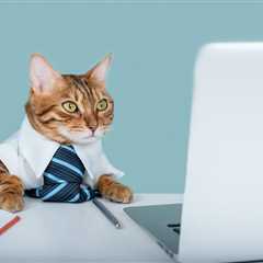 Top Remote Tax and Accounting Candidates of the Week | August 7, 2025