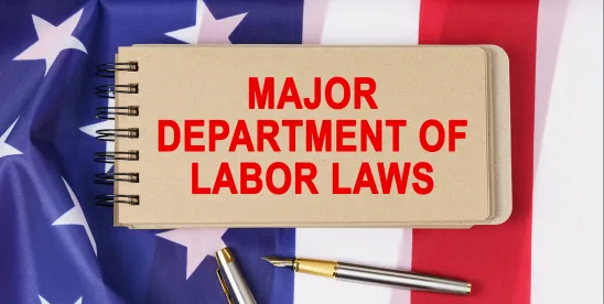 DOL Resurrects PAID Program to Supervise Employers’ Self-Audits and Settlements of Potential FLSA..
