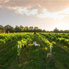 The Legal Drinking Age for Wine Tours in Harris County, Texas: What You Need to Know