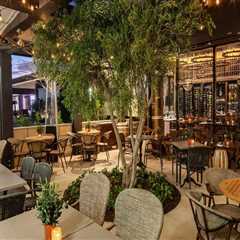 Unleashing the Full Potential of Wine Tours in Harris County, Texas