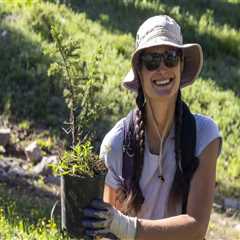 The Rise of Virtual Volunteering in Salt Lake County, Utah