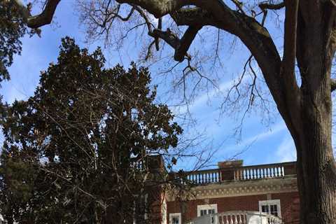 The Ultimate Guide to Sports in Chevy Chase, Maryland