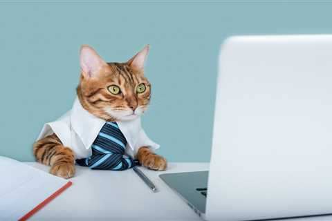 Top Remote Tax and Accounting Candidates of the Week | August 7, 2025