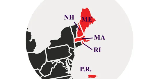 District Court Examines Chapter 93A Claims, Implied Covenant, and Damages Waivers