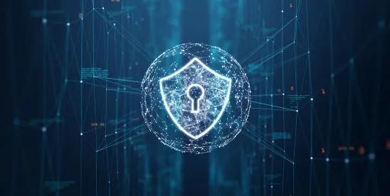 We Get Privacy for Work — Episode 7: What Is a WISP and Why Your Organization Must Have One [Video]