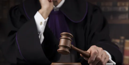 LION’S DEN: Daniel’s Law Roars as a Good Law Gets Exploited By Abusive Litigation