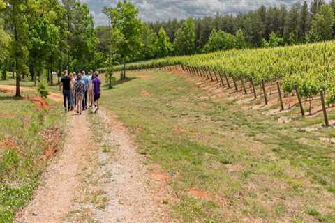 The Ultimate Guide to Wine Tours in Harris County, Texas