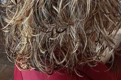 The Best Salons for Hair Coloring in Kalamazoo County, Michigan