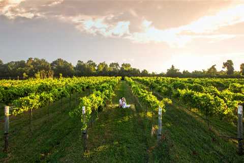 The Legal Drinking Age for Wine Tours in Harris County, Texas: What You Need to Know