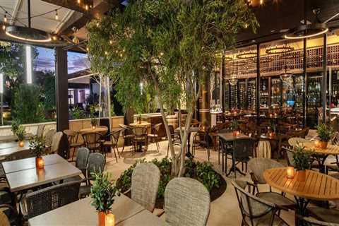 Unleashing the Full Potential of Wine Tours in Harris County, Texas