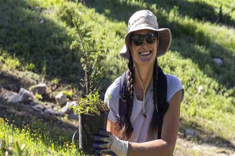 The Rise of Virtual Volunteering in Salt Lake County, Utah