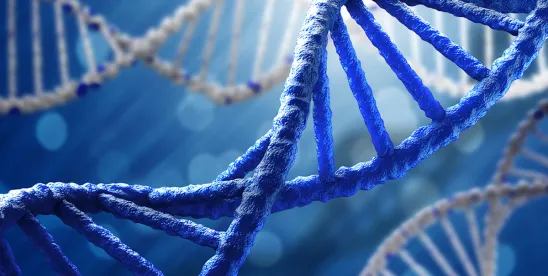 Four Things You May Not Know About …. The Genetic Information Nondiscrimination Act