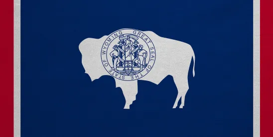 Wyoming Launches First State-Issued Stable Token