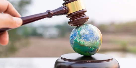 Companies Must Prepare for Complying with California's Climate Disclosure Laws Even Though..