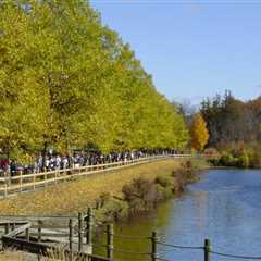 The Benefits of Doing Business in Springfield, Massachusetts