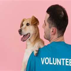 How to Save Money on Fundraising Events in Las Vegas