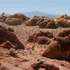 Navigating the Regulations and Laws of the Hospitality Industry in Clark County, Nevada