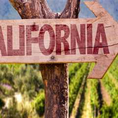 The Unique Characteristics of Wine Production in Central California