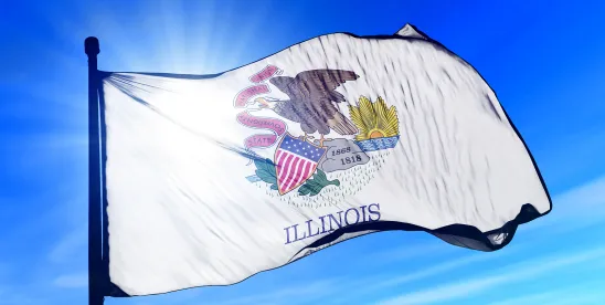 Illinois Supreme Court to Again Address Section 22.1 of the Condo Act